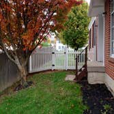 Vinyl Fence