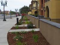 Photos by A Munoz Landscaping #1