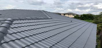 Roof Paint