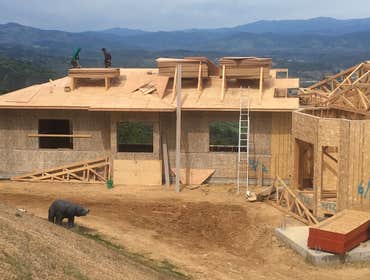 Photos by Black Arrow Construction #1