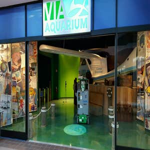 Photos by Jimerico Construction Inc #1