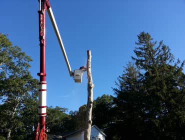 Works by North Fork Tree & Lan