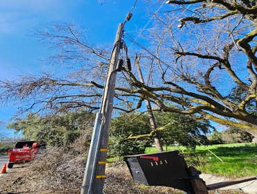 Photos by Discovery Tree Care, Inc #25