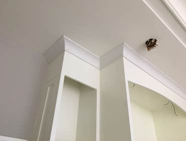 Photos by Nick Hammer General Builder #2