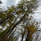 Photos by Leo’s Tree & Lawn Service Inc #3
