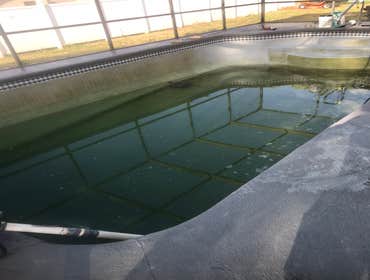 Photos by Adventure Pool N Spa #1 New finish with dolphins and pumps and filter
