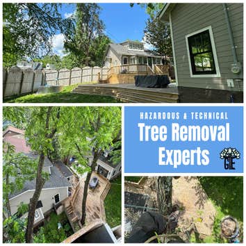 Greenbrier Tree Experts