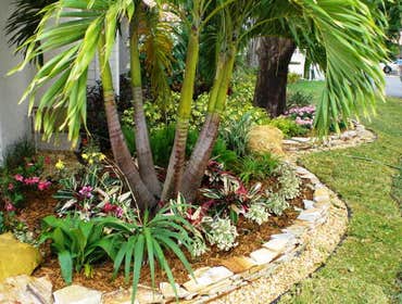 Photos by B&c Fruit Trees & Landscape LLC #1