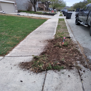 Photos by JOE'S Tree Service and Lanscanping #1