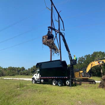 Central Florida Tree and Debris