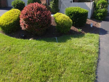 Photos by Professional Approach Landscape Services, Inc #1