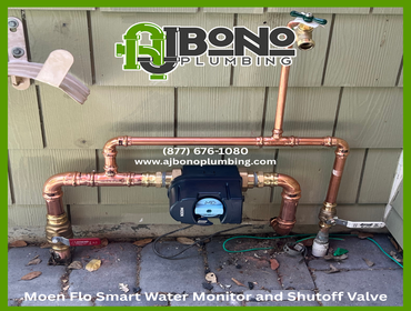 Moen Smart water shut off valve