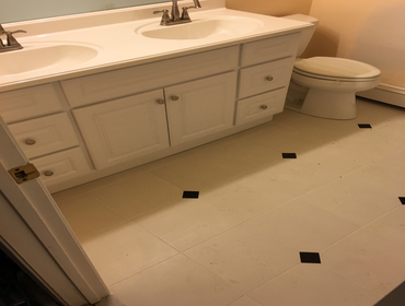 Photos from Alcon Home Services