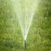 Photos from Safari Lawn Care LLC