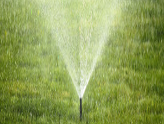 Photos from Safari Lawn Care LLC