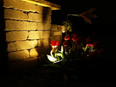 Landscape Lighting Landscape lighting adds an affordable, simple investment to property value. Also provides property-wide security with style. Upgrade