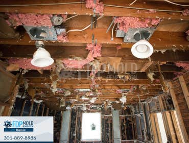 Photos by Fdp Mold Remediation of Bowie #2