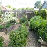 Backyard Food Production