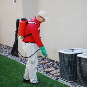 Bull's Eye Pest Control