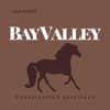 Bay Valley Construction Solutions logo