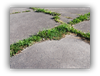 Gaddis & Son Inc Project 1 Gaddis & Sons, Inc. is a Columbus Concrete Contractor specialized in concrete and site construction. Since 1971, we have suc