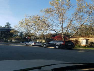Photos by Encinal Tree Service Inc #17