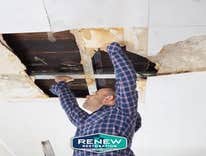 Photos by Renew Restoration #1