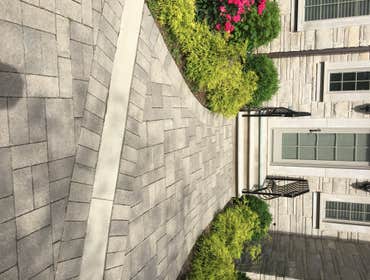Photos by Caribbean Landscape Nursery Construction #10