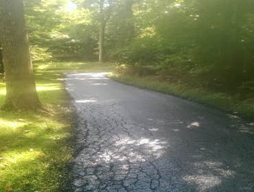 Photo(s) from Henry's Paving And Seal Coating 2014 paver of the year