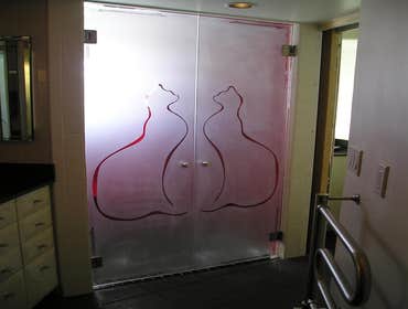 Frameless Shower Doors
