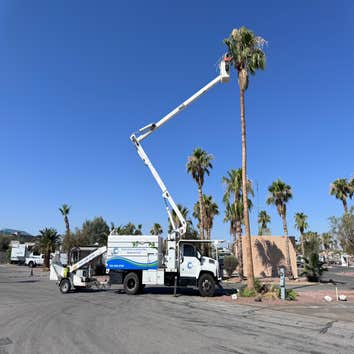Continental Landscaping Services LLC