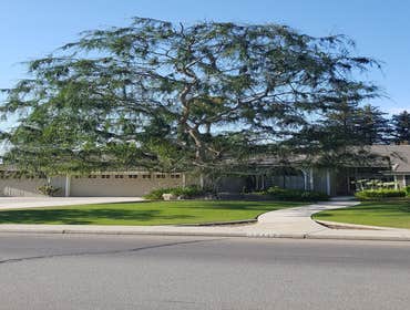 Photos by MARIO'S TREE SERVICES #1