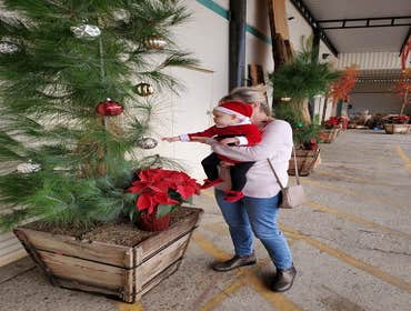 Photos by Street Tree Revival #1