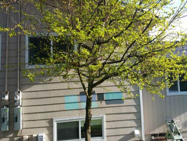 Photos by K&D Quality Painting LLC #1