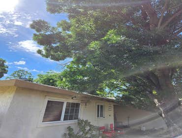 Photos by Discovery Tree Care, Inc #24