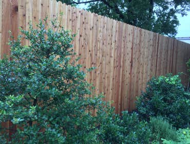 8' Cedar Fence with 10' steel poles