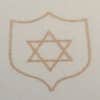Armor Innovations Group LLC logo