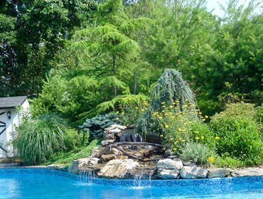 Photos by Island Aquascape Inc #1