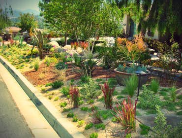 Photos by Afuera Landscape Designs Inc #1
