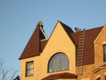 Photos by Chicagoland Exteriors Construction #1