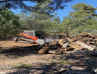 Photos by Pristine Pines Solutions LLC #1