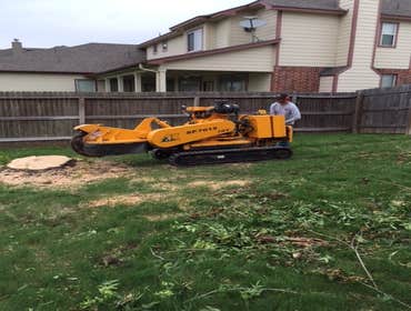 Photos from South Texas Tree of Life Tree S.Tx Tree of Life Tree Service
