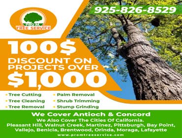 Photos by Pro M Tree Service #40