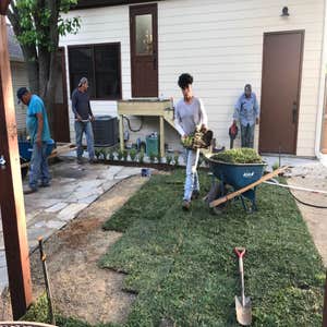 sod Installation