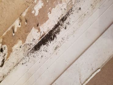 Photos by An Restoration #1 Mold Remediation at the kitchen island.