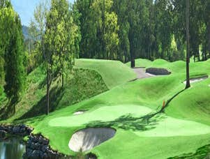 Synthetic Grass Arizona