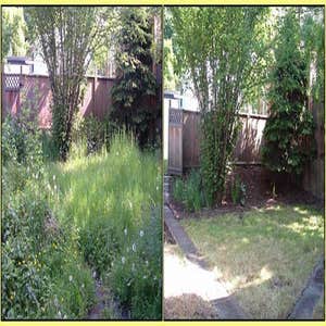 sample projects here are some jobs i have completed. things from simple clean up to landscape design to sod resoring