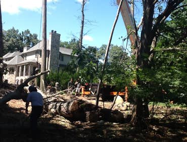 Works by Final Touch Tree Serv