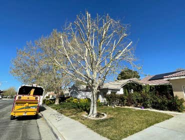 Photos by Master of Tree Care Services Inc #5