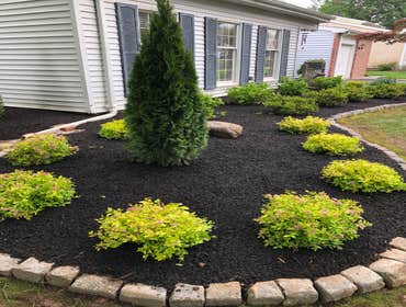 Photos by Ed Francos Simply Green, LLC #1